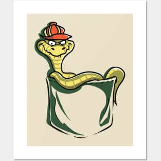 Pocket snake Posters and Art